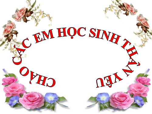 Bài 2. Các phương châm hội thoại (tiếp theo)