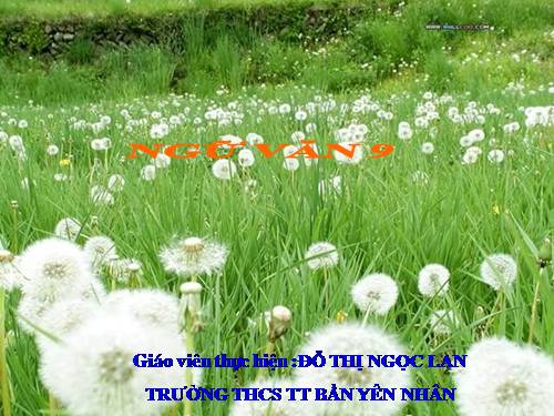 Bài 4. Sự phát triển của từ vựng
