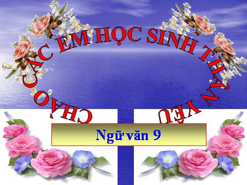 Bài 2. Các phương châm hội thoại (tiếp theo)