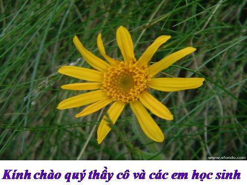 Bài 1. Phong cách Hồ Chí Minh