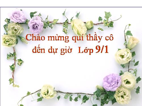 Bài 10. Tổng kết về từ vựng (Sự phát triển của từ vựng,... trau dồi vốn từ)