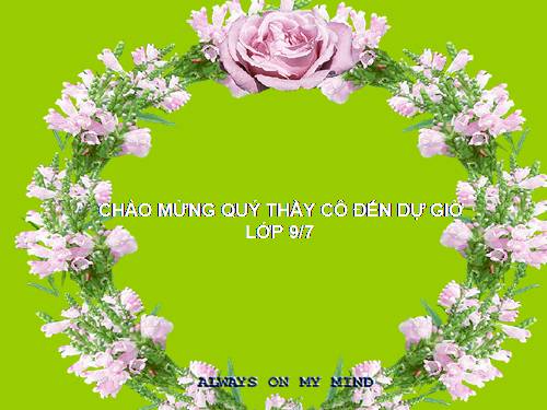 Bài 14. Ôn tập phần Tiếng Việt (Các phương châm hội thoại)