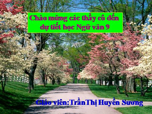 Bài 6. Cảnh ngày xuân
