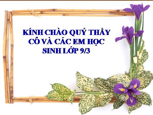 Bài 28. Biên bản