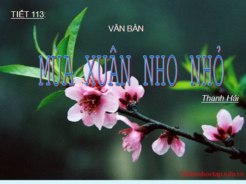 Bài 23. Mùa xuân nho nhỏ