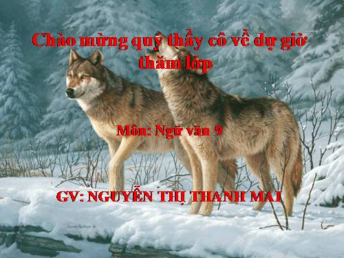 Bài 31. Con chó Bấc