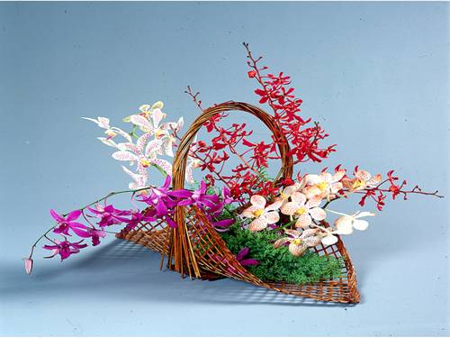 Bài 9. Tổng kết về từ vựng (Từ đơn, từ phức,... từ nhiều nghĩa; Từ đồng âm,... trường từ vựng)