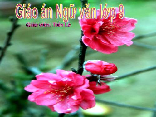 Bài 23. Mùa xuân nho nhỏ