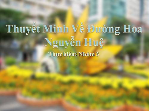 Đường Hoa Nguyễn Huệ