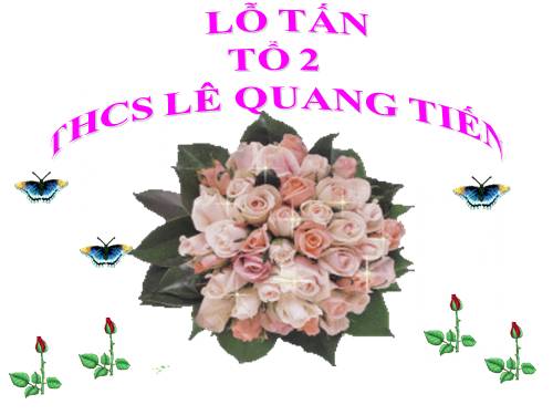 LỖ TẤN