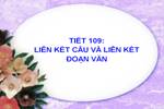 Bài 21. Liên kết câu và liên kết đoạn văn