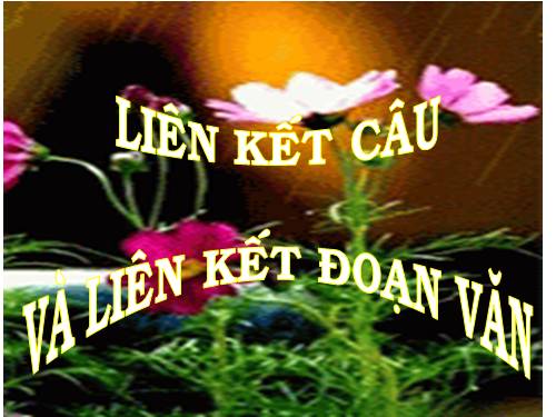 Bài 21. Liên kết câu và liên kết đoạn văn