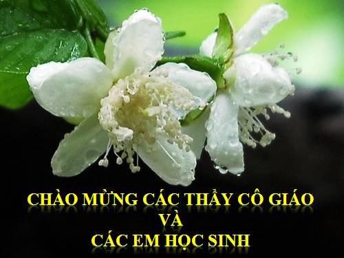 Bài 14. Lặng lẽ Sa Pa