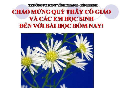 Bài 16. Cố hương
