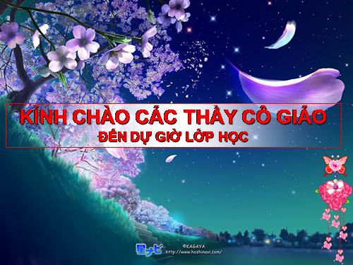 Bài 10. Đồng chí