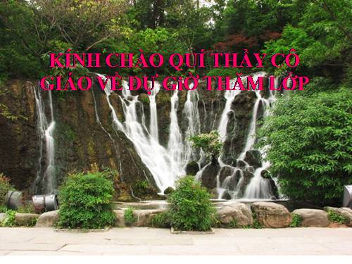 Bài 9. Tổng kết về từ vựng (Từ đơn, từ phức,... từ nhiều nghĩa; Từ đồng âm,... trường từ vựng)