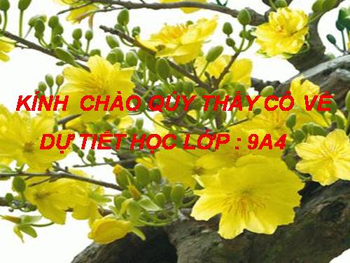 Bài 12. Ánh trăng