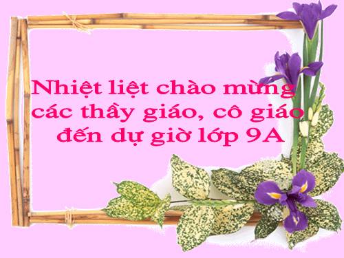 Bài 16. Kiểm tra tổng hợp cuối Học kì I
