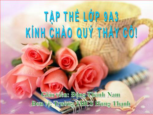 Bài 11. Tổng kết về từ vựng (Từ tượng thanh, tượng hình, một số phép tu từ từ vựng)