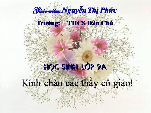 Bài 16. Cố hương