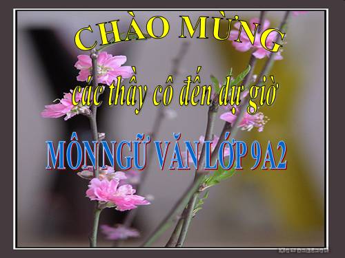 Bài 6. Truyện Kiều của Nguyễn Du
