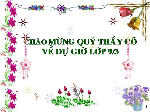 Bài 6. Thuật ngữ