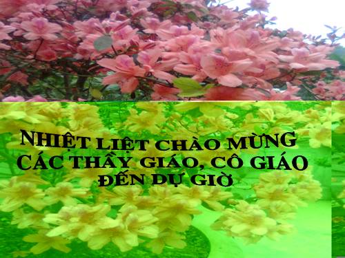 Bài 8. Lục Vân Tiên cứu Kiều Nguyệt Nga