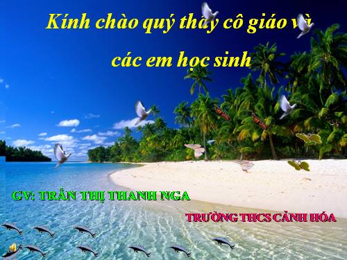 Bài 9. Tổng kết về từ vựng (Từ đơn, từ phức,... từ nhiều nghĩa; Từ đồng âm,... trường từ vựng)