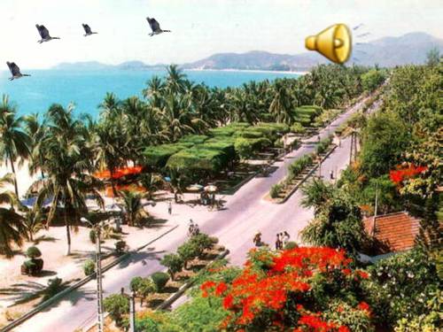 Bài 23. Mùa xuân nho nhỏ