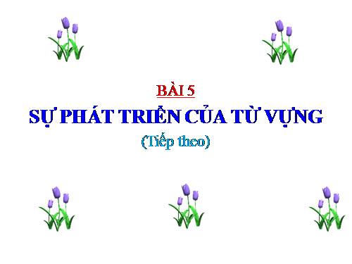 Bài 5. Sự phát triển của từ vựng (tiếp theo)