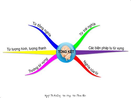 Bài 9. Tổng kết về từ vựng (Từ đơn, từ phức,... từ nhiều nghĩa; Từ đồng âm,... trường từ vựng)