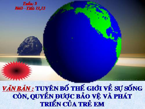 Bài 3. Tuyên bố thế giới về sự sống còn, quyền được bảo vệ và phát triển của trẻ em