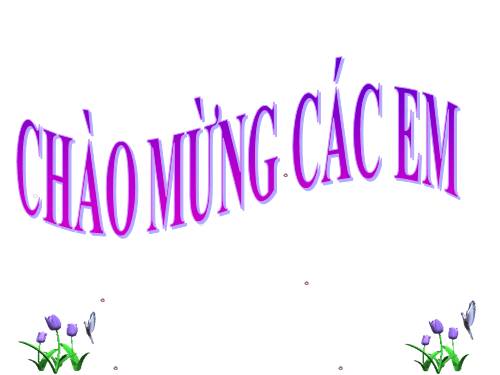 Bài 2. Các phương châm hội thoại (tiếp theo)