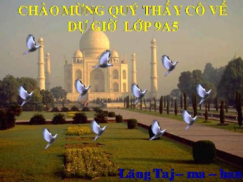 Bài 10. Đồng chí