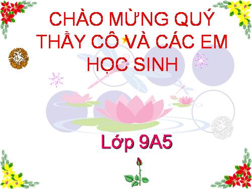Bài 9. Tổng kết về từ vựng (Từ đơn, từ phức,... từ nhiều nghĩa; Từ đồng âm,... trường từ vựng)