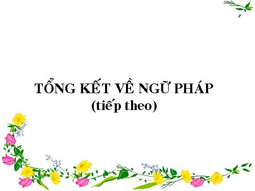 Bài 30. Tổng kết về ngữ pháp (tiếp theo)