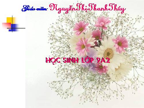 Bài 29. Tổng kết về ngữ pháp