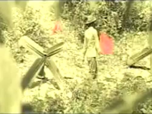 Bài 28. Những ngôi sao xa xôi