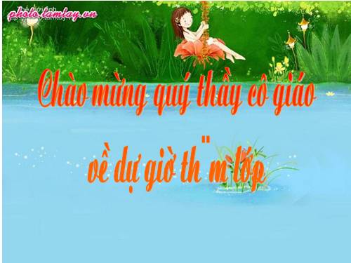 Bài 26. Chương trình địa phương (phần tiếng việt)