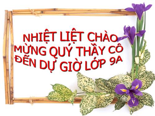 Bài 20. Nghị luận về một vấn đề tư tưởng, đạo lí