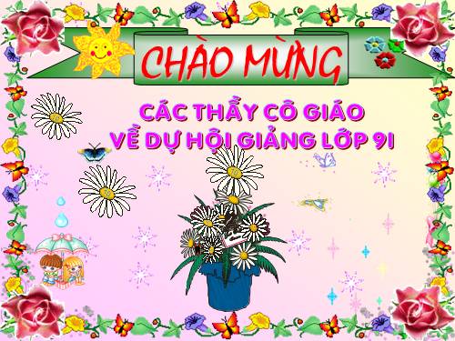 Bài 9. Tổng kết về từ vựng (Từ đơn, từ phức,... từ nhiều nghĩa; Từ đồng âm,... trường từ vựng)