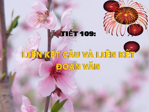Bài 21. Liên kết câu và liên kết đoạn văn