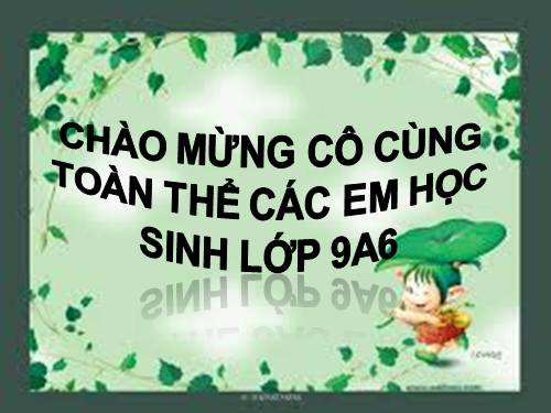 Bài 23. Viếng lăng Bác