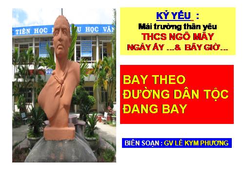 Bay theo đường dân tộc đang bay