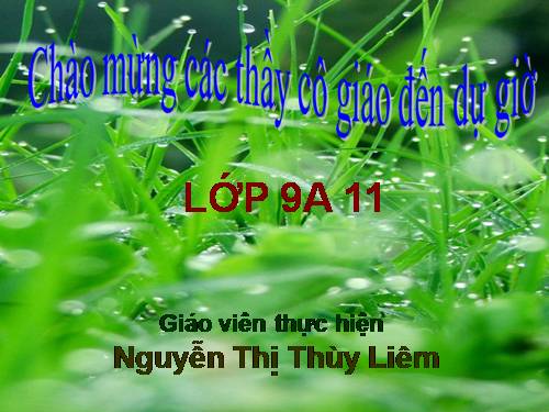 Bài 6. Cảnh ngày xuân