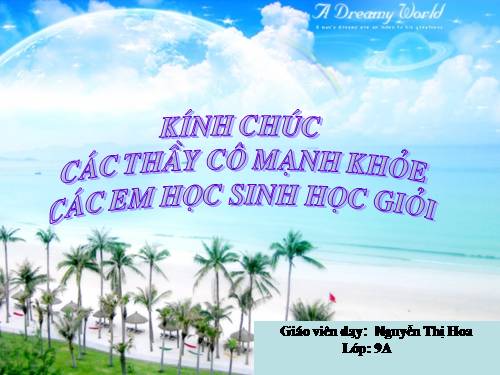 Bài 11. Đoàn thuyền đánh cá