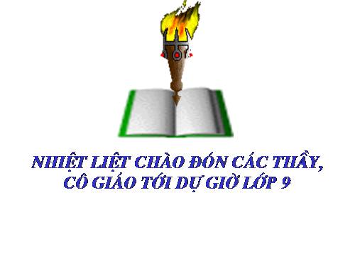 Bài 10. Tổng kết về từ vựng (Sự phát triển của từ vựng,... trau dồi vốn từ)