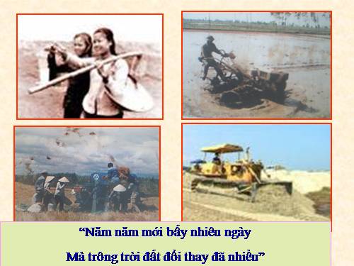 Bài 11. Đoàn thuyền đánh cá