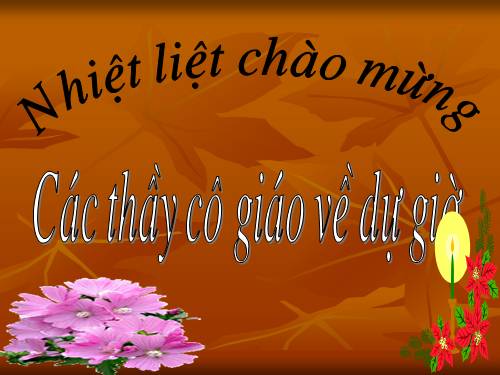 Bài 9. Tổng kết về từ vựng (Từ đơn, từ phức,... từ nhiều nghĩa; Từ đồng âm,... trường từ vựng)