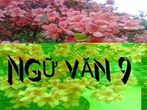 Bài 8. Lục Vân Tiên cứu Kiều Nguyệt Nga